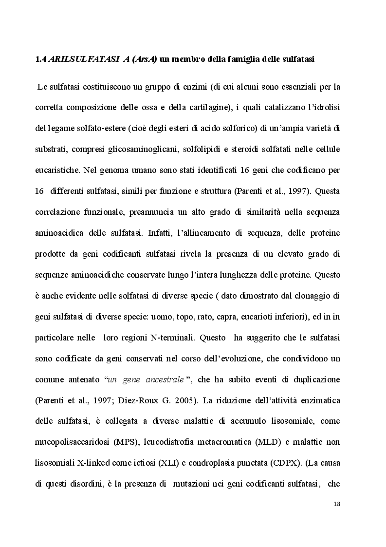 Estratto dalla tesi: Sviluppo di un nuovo saggio per l’idrolisi del sulfatide da parte dell’enzima Arilsulfatasi A: rilevanza per la cura della Leucodistrofia Metacromatica