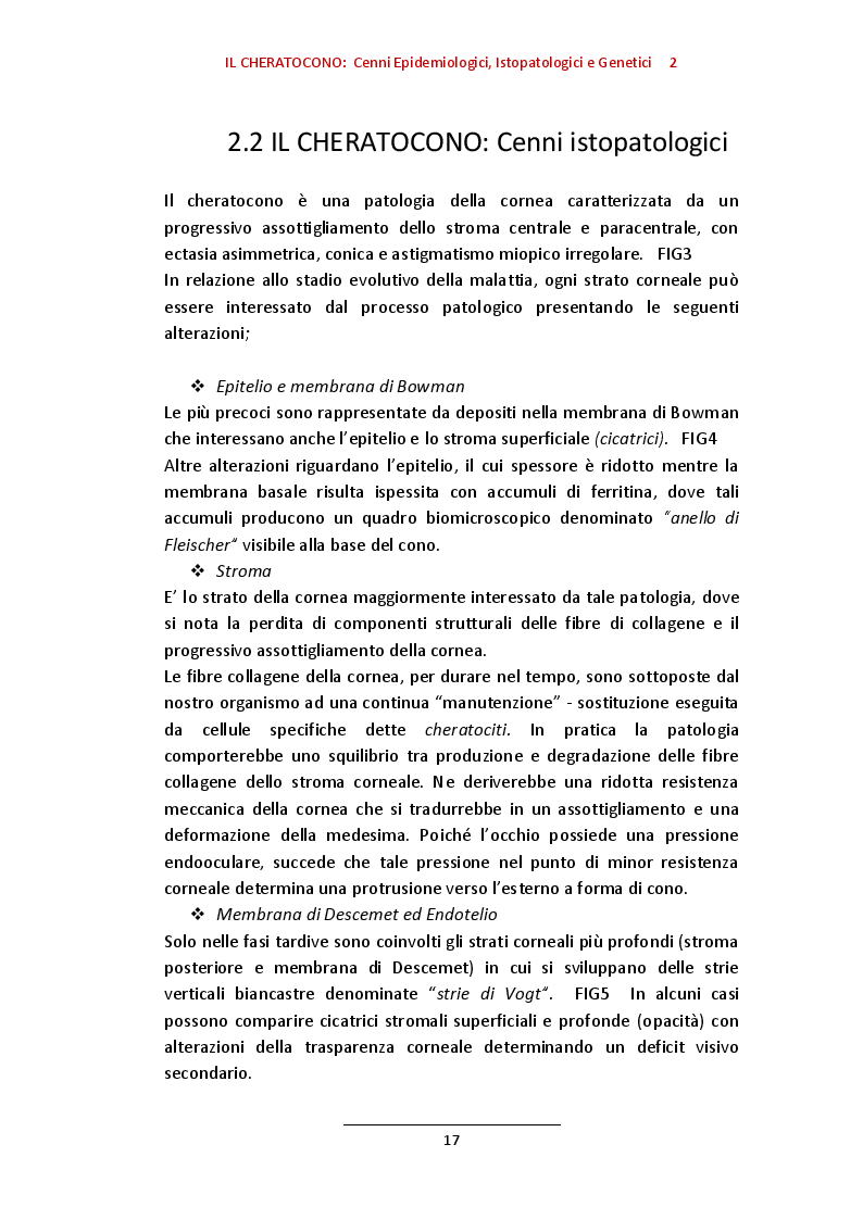 Estratto dalla tesi: Incidenza e Prevalenza del cheratocono quale motivo di non idoneità al servizio militare (E.I) in un campione omogeneo di 40428 candidati.