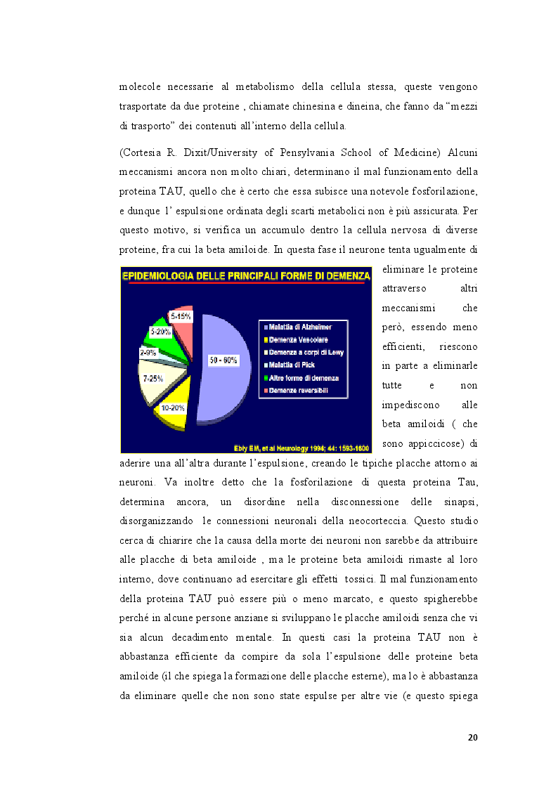 Estratto dalla tesi: L’organizzazione di Strutture e di Percorsi, nel complesso Setting Assistenziale dei pazienti affetti da Alzheimer