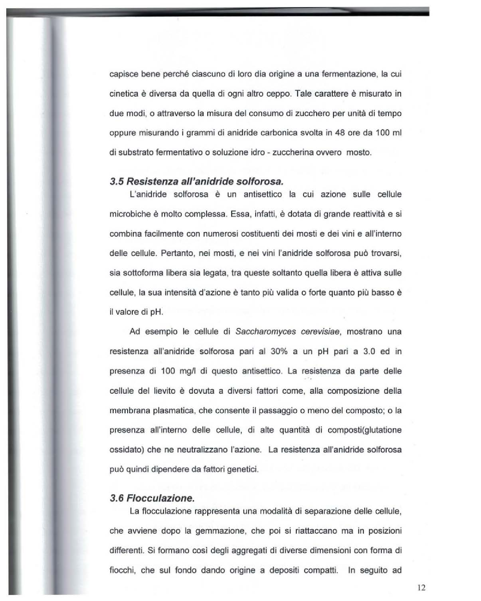 Estratto dalla tesi: Elementi distintivi nella produzione dei vini spumanti