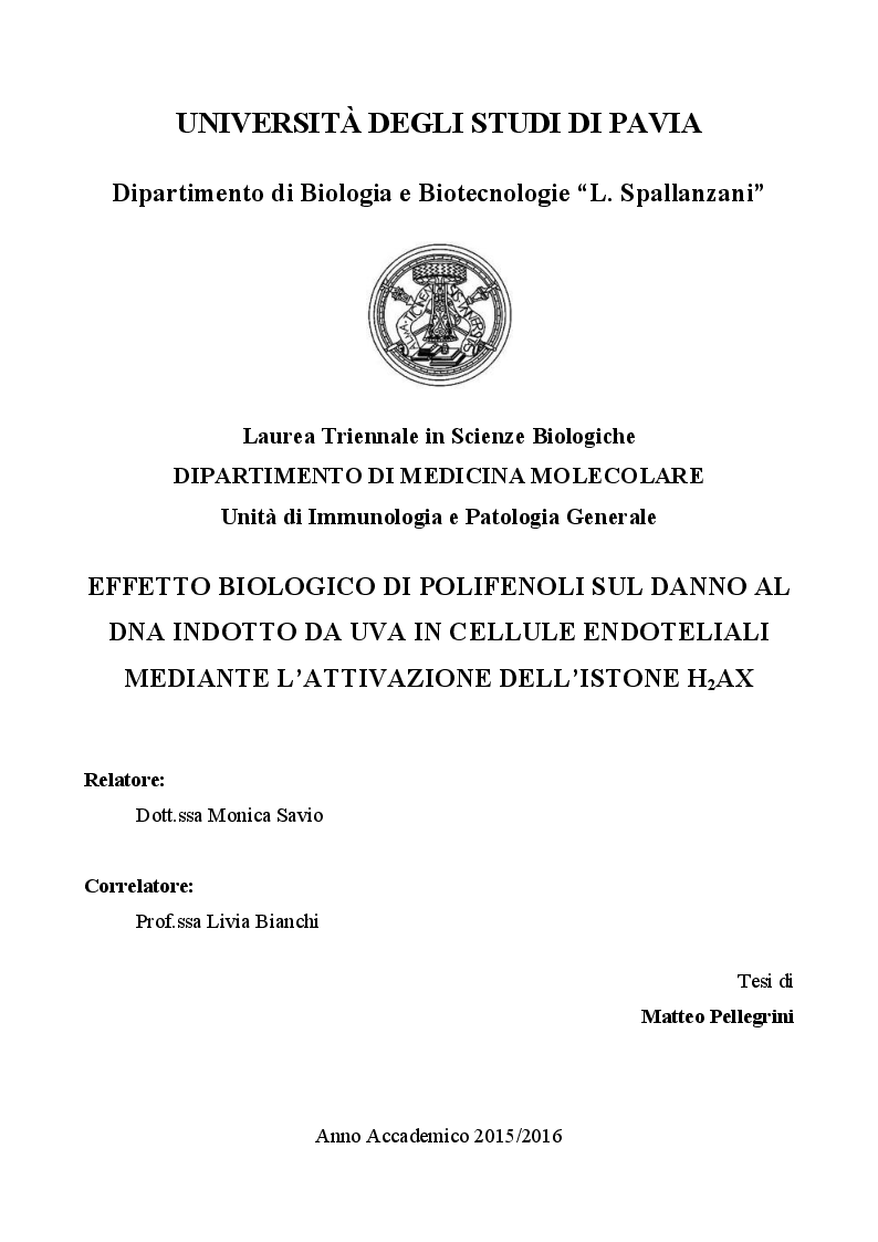 Anteprima della tesi: Effetto biologico di polifenoli sul danno al DNA indotto da UVA in cellule endoteliali mediante l'attivazione dell'istone H2AX., Pagina 1