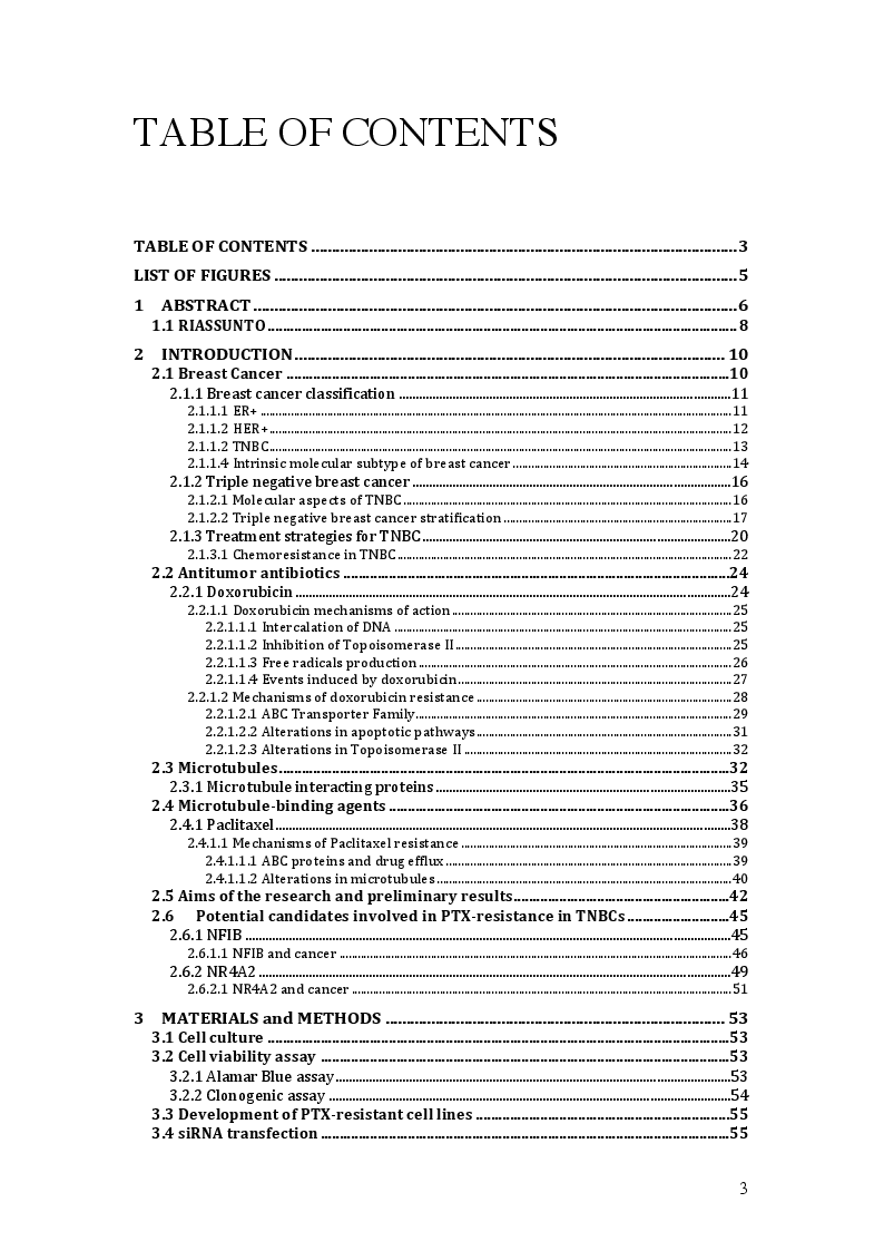 Indice della tesi: Investigation of the Role of NFIB and NR4A2 in Resistance to standard Chemotherapy in Triple Negative Breast Cancer, Pagina 1