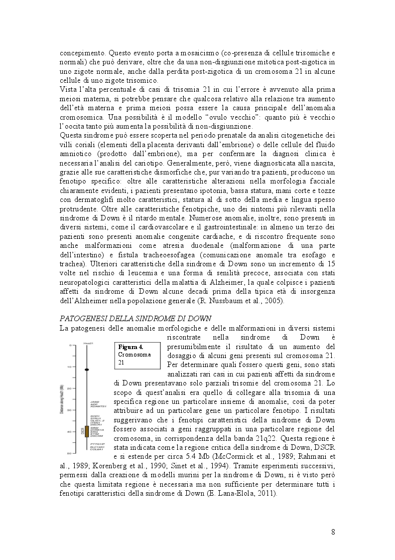 Estratto dalla tesi: Due metodi innovativi per correggere la trisomia 21: silenziamento mediato da XIST e rimozione del cromosoma extra