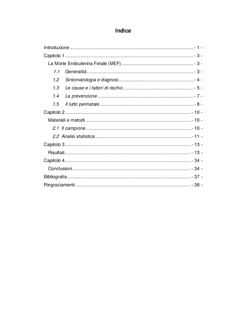 Indice della tesi: MEF: l'assistenza ostetrica dalla diagnosi all'espletamento del parto, Pagina 1