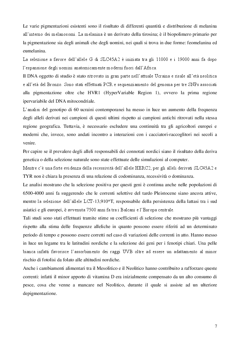 Estratto dalla tesi: Come gli europei divennero bianchi
