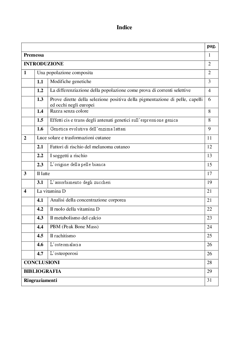 Indice della tesi: Come gli europei divennero bianchi, Pagina 1