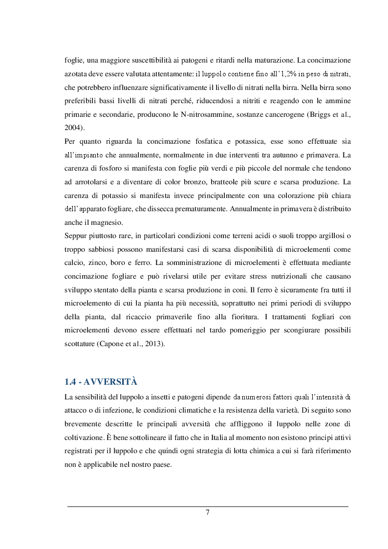 Estratto dalla tesi: Gestione colturale e caratteristiche quanti-qualitative del luppolo in Piemonte: prove preliminari
