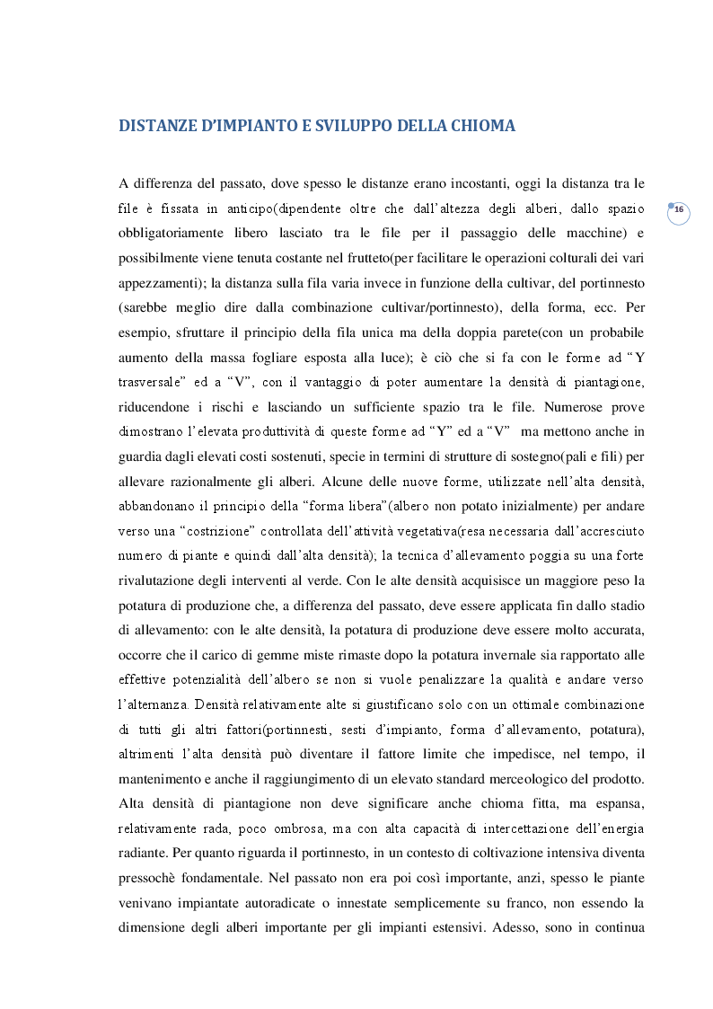 Estratto dalla tesi: IL FRUTTETO. Evoluzione delle densità di impianto e moderni orientamenti