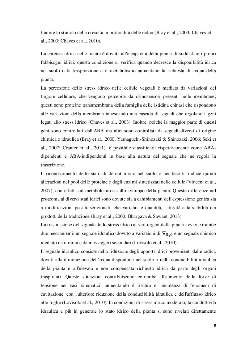 Estratto dalla tesi: Risposte biochimiche e fisiologiche allo stress idrico in vite (Vitis vinifera L.)