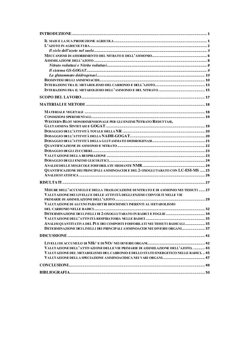 Indice della tesi: Effetti del nitrato sull’assimilazione dell’ammonio in piante di mais (Zea mays L.), Pagina 1
