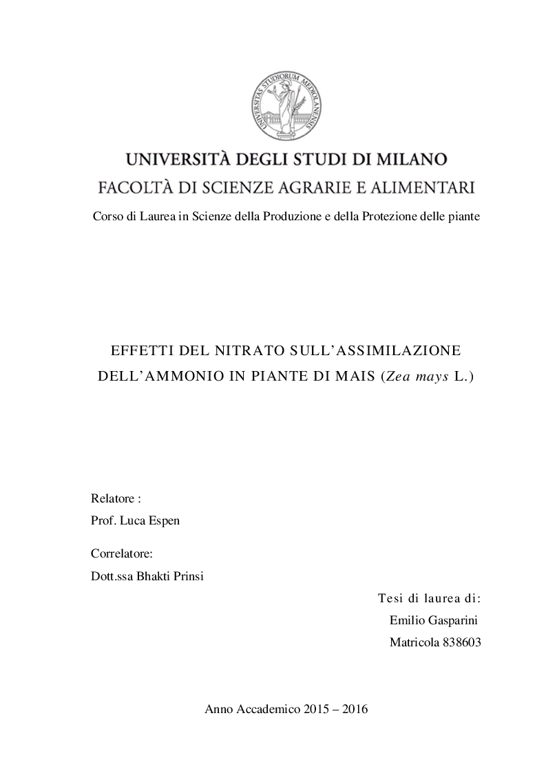 Anteprima della tesi: Effetti del nitrato sull’assimilazione dell’ammonio in piante di mais (Zea mays L.), Pagina 1