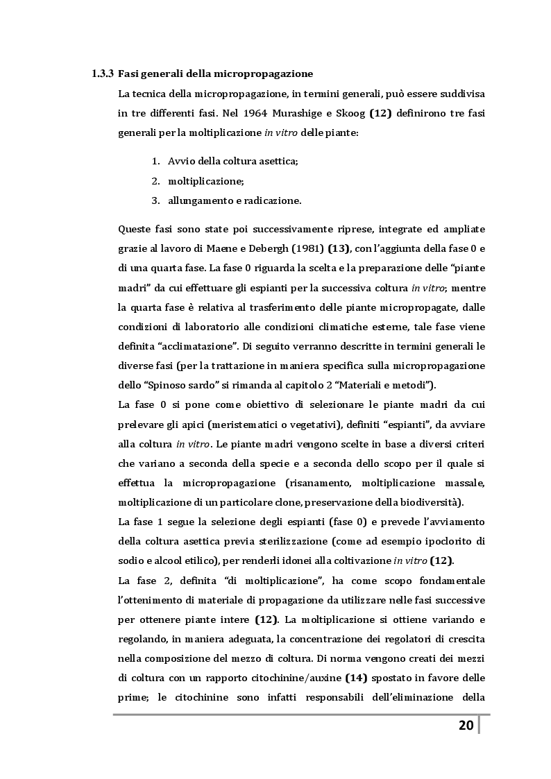 Estratto dalla tesi: La coltura in vitro di apici meristematici: la micropropagazione del carciofo "Spinoso sardo" come tecnica di risanamento e moltiplicazione in vitro di germoplasma infetto dal virus TSWV (Tomato-spotted-wilt-virus)