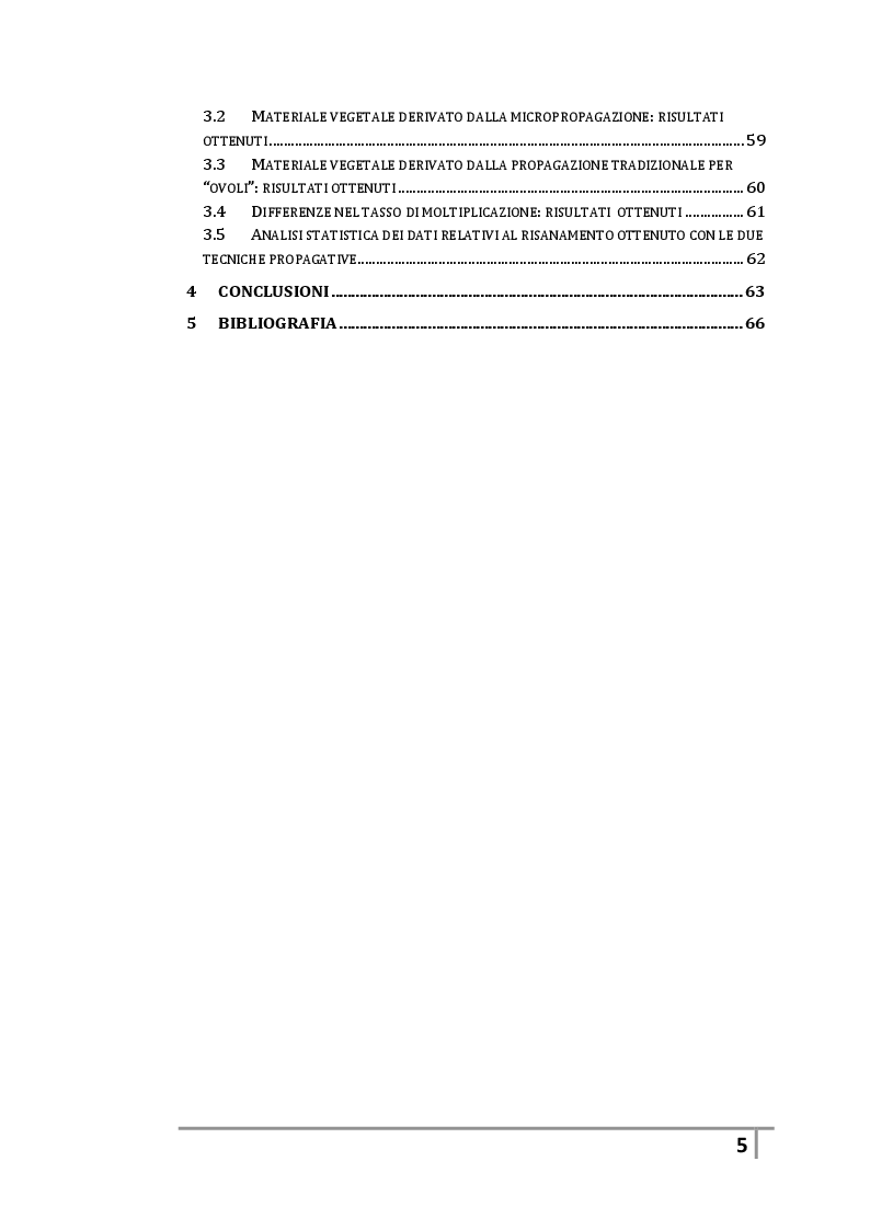 Indice della tesi: La coltura in vitro di apici meristematici: la micropropagazione del carciofo "Spinoso sardo" come tecnica di risanamento e moltiplicazione in vitro di germoplasma infetto dal virus TSWV (Tomato-spotted-wilt-virus), Pagina 2