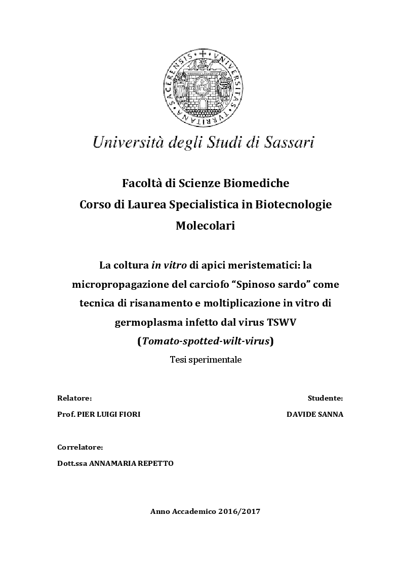 Anteprima della tesi: La coltura in vitro di apici meristematici: la micropropagazione del carciofo "Spinoso sardo" come tecnica di risanamento e moltiplicazione in vitro di germoplasma infetto dal virus TSWV (Tomato-spotted-wilt-virus), Pagina 1
