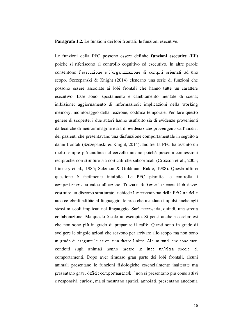 Estratto dalla tesi: Lobi frontali: anatomia, funzioni e sviluppo