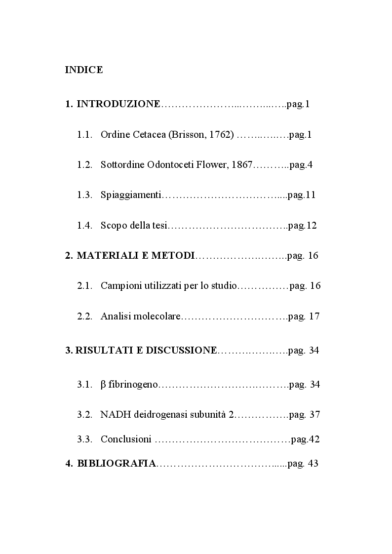 Indice della tesi: Identificazione di esemplari di delfini spiaggiati mediante analisi molecolare, Pagina 1