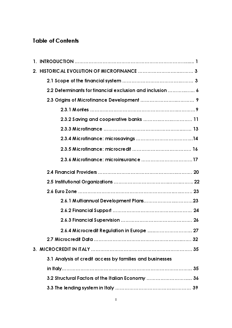 Indice della tesi: The development of Microcredit in Italy, Pagina 1