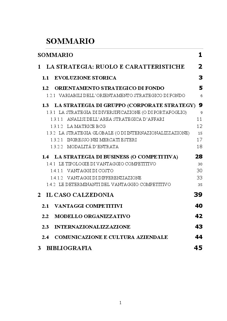 Indice della tesi: La gestione strategica: il caso "Calzedonia", Pagina 1