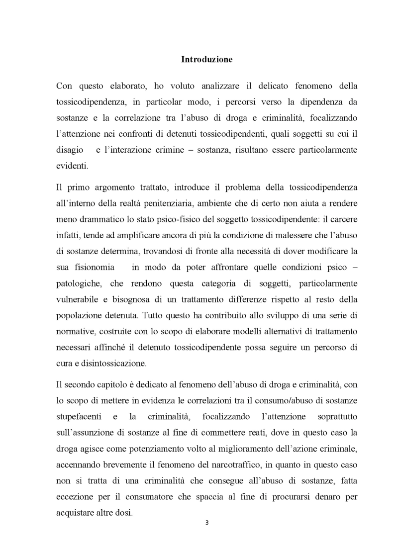 Anteprima della tesi: Percorsi verso la dipendenza da sostanze, Pagina 2