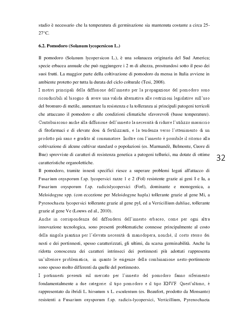 Anteprima della tesi: L'innesto erbaceo in orticoltura aspetti agronomici e problematiche, Pagina 3