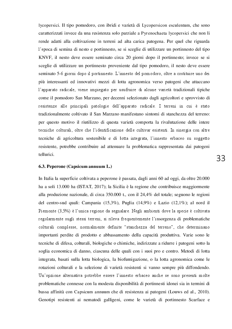 Anteprima della tesi: L'innesto erbaceo in orticoltura aspetti agronomici e problematiche, Pagina 4