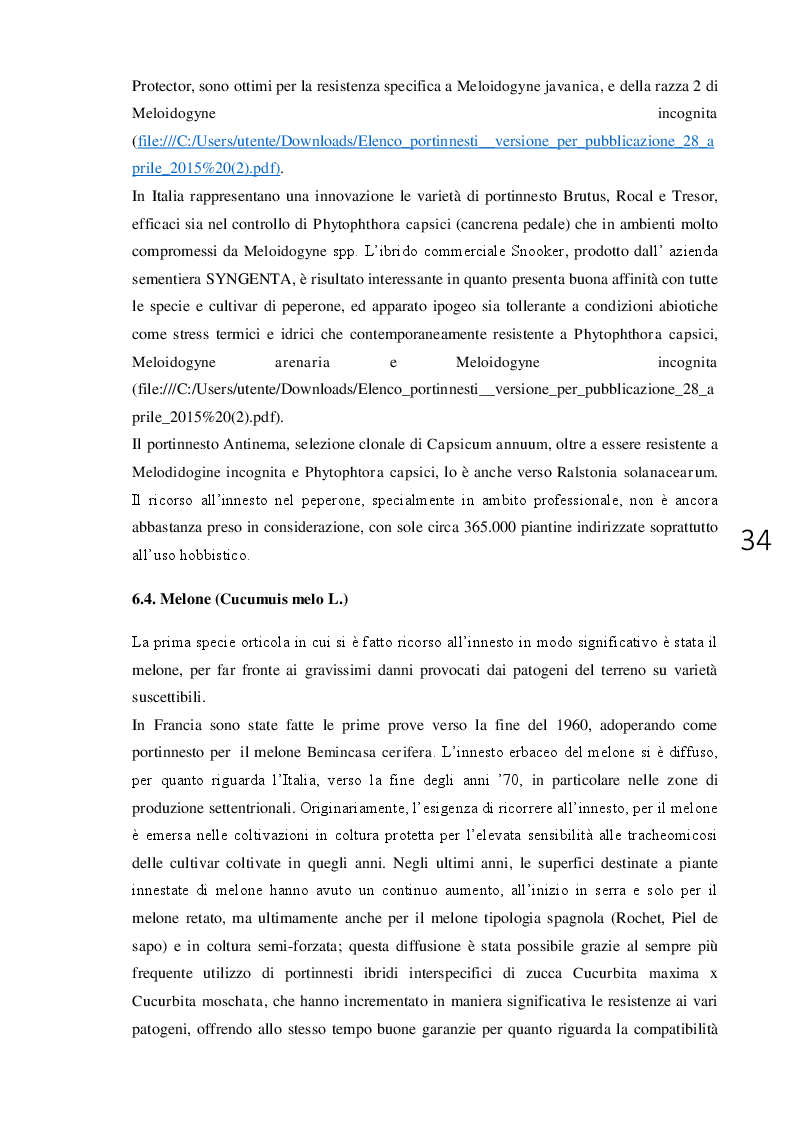 Anteprima della tesi: L'innesto erbaceo in orticoltura aspetti agronomici e problematiche, Pagina 5