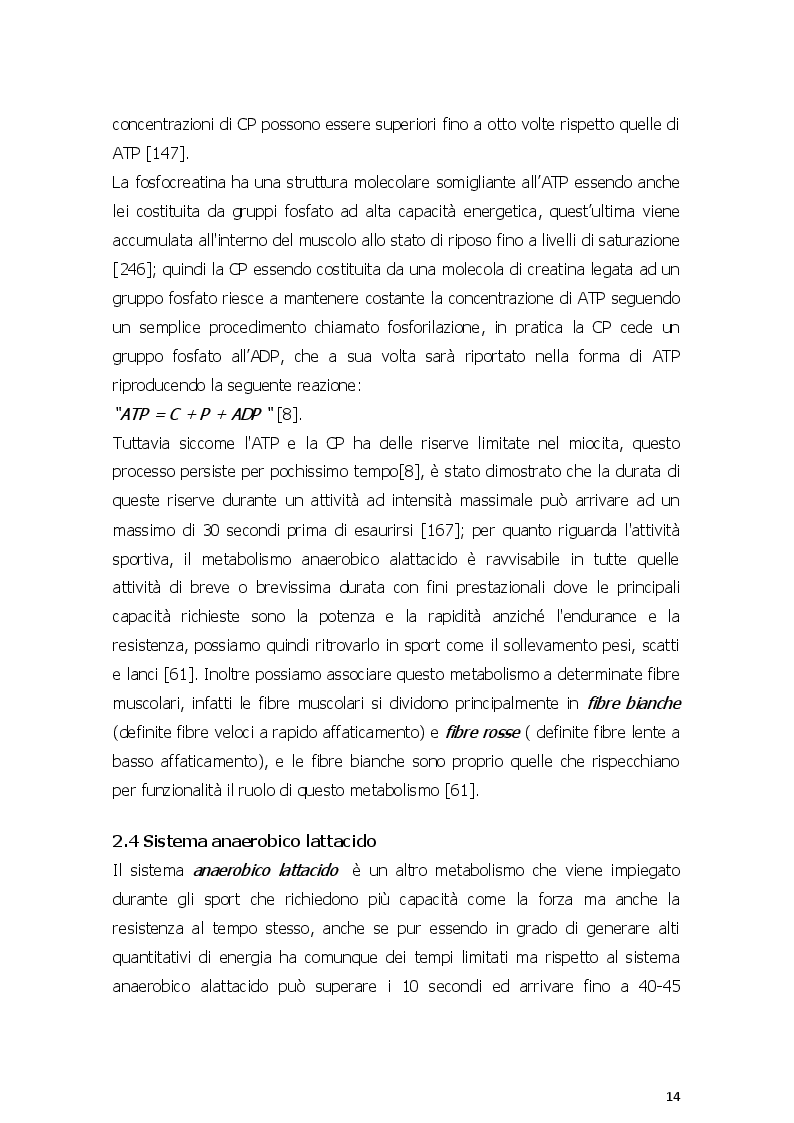 Estratto dalla tesi: Dieta chetogenica e suoi risvolti nell'attività sportiva