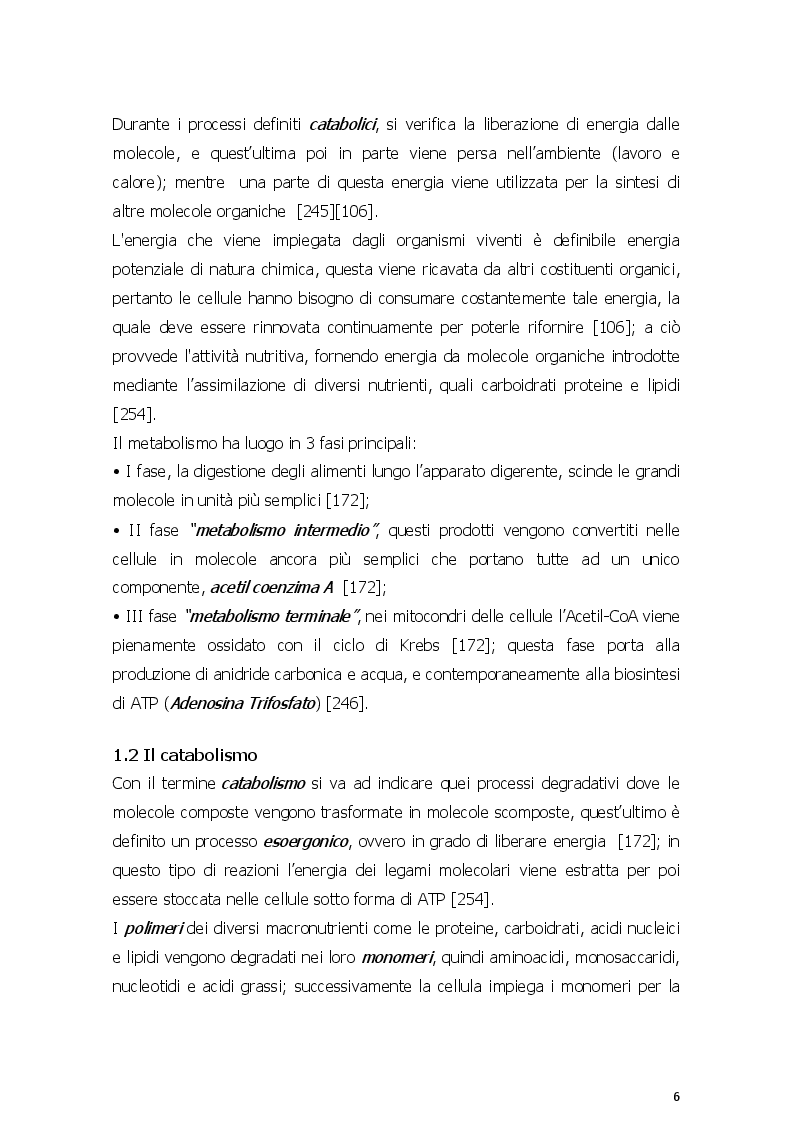 Anteprima della tesi: Dieta chetogenica e suoi risvolti nell'attività sportiva, Pagina 3