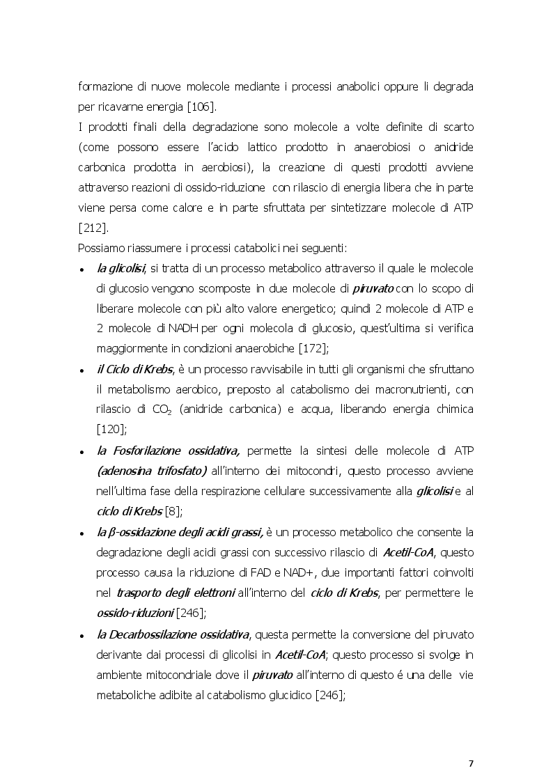 Anteprima della tesi: Dieta chetogenica e suoi risvolti nell'attività sportiva, Pagina 4