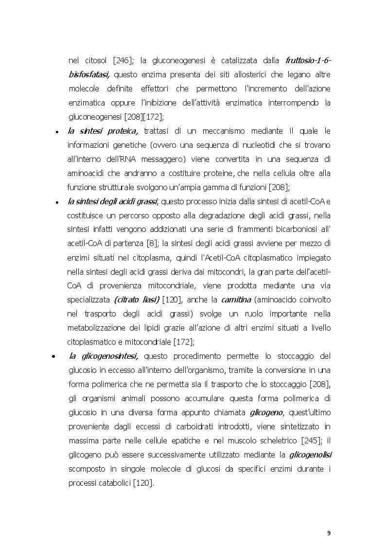Anteprima della tesi: Dieta chetogenica e suoi risvolti nell'attività sportiva, Pagina 6