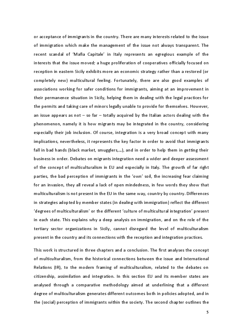Anteprima della tesi: The Culture of Multicultural Integration: Tertiary Organisations' Role in Immigrants' Reception in Sicily, Pagina 3