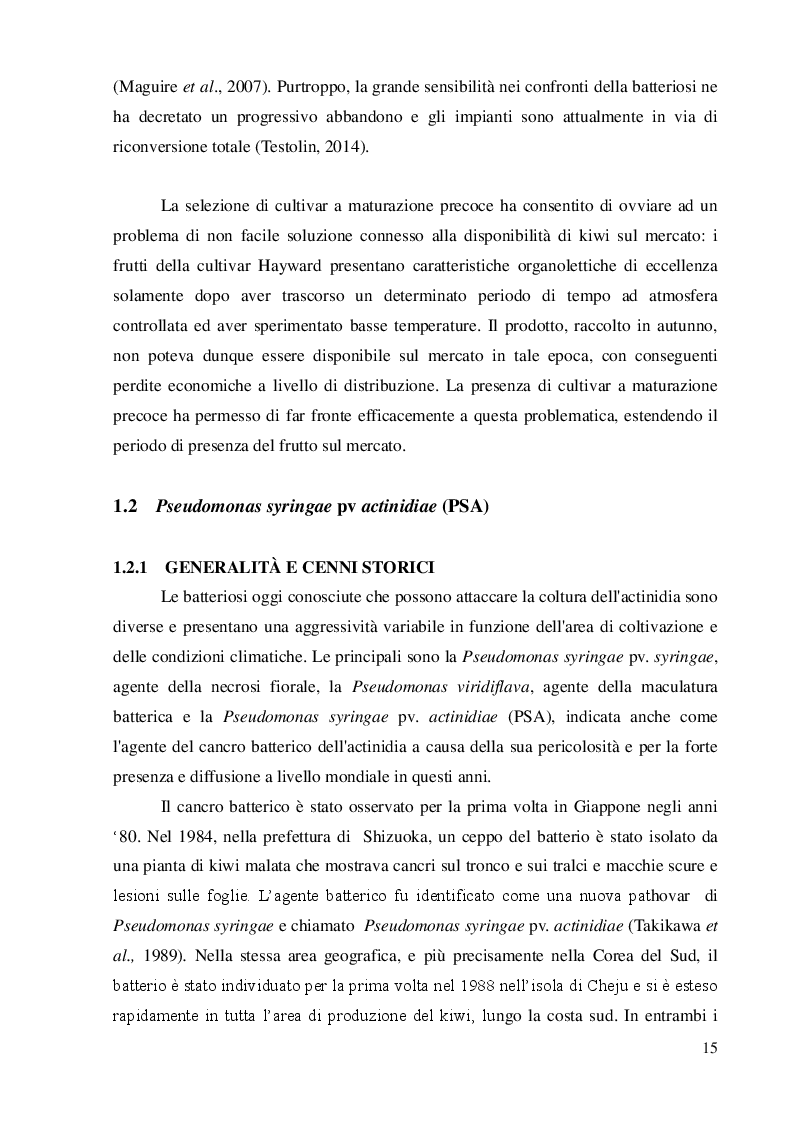 Estratto dalla tesi: Strategie innovative per il contenimento di Pseudomonas syringae pv.actinidiae