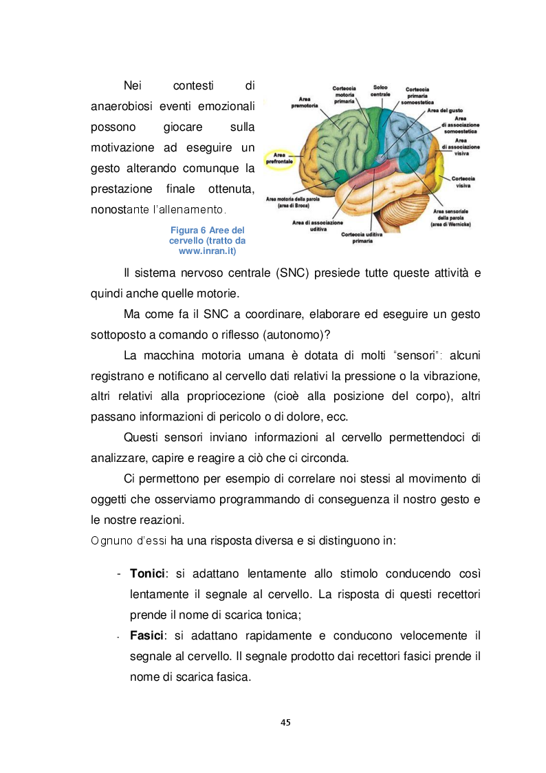 SCARICARE FASICA TONICA