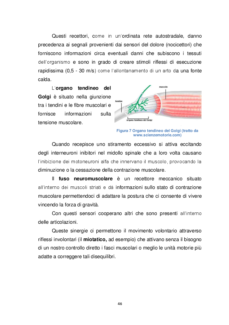 Anteprima della tesi: Il Biomeccanico: una nuova figura professionale al servizio del calcio, Pagina 7