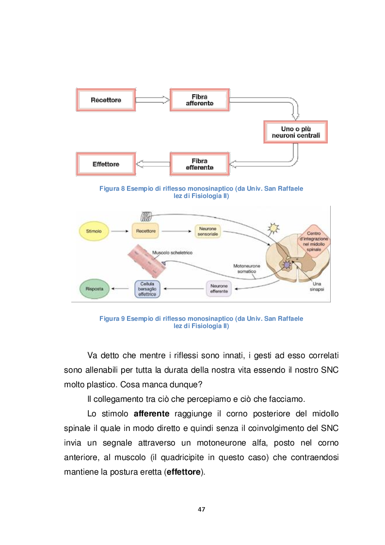 Anteprima della tesi: Il Biomeccanico: una nuova figura professionale al servizio del calcio, Pagina 8