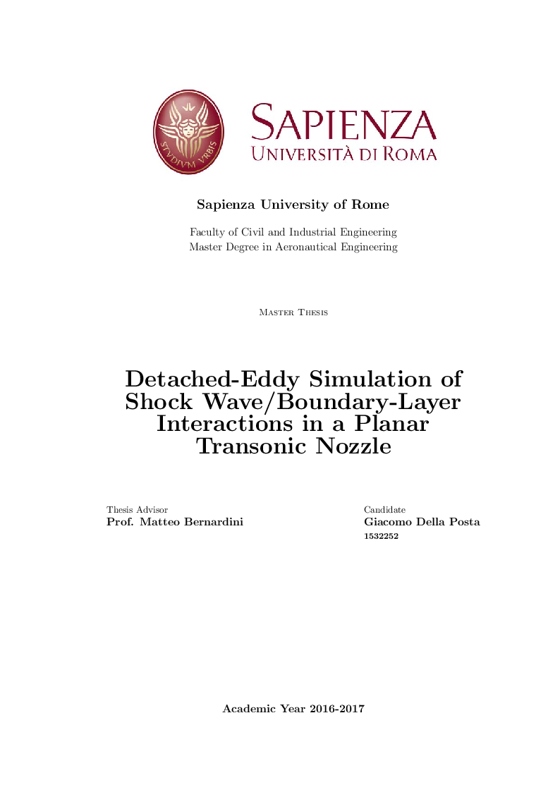 Anteprima della tesi: Detached-Eddy Simulation of Shock Wave/Boundary-Layer Interactions in a Planar Transonic Nozzle, Pagina 1
