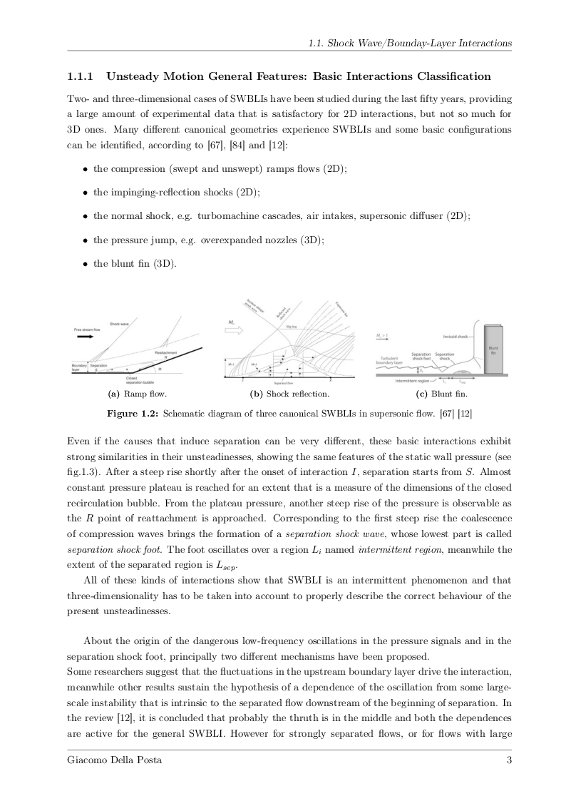 Anteprima della tesi: Detached-Eddy Simulation of Shock Wave/Boundary-Layer Interactions in a Planar Transonic Nozzle, Pagina 4