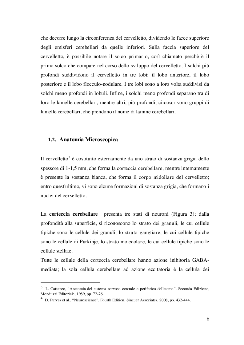Anteprima della tesi: L'intervento riabilitativo nell'atassia, Pagina 7