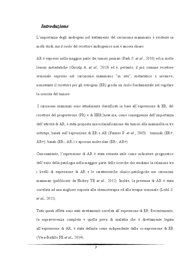 Anteprima della tesi: Ruolo protettivo degli Androgeni sulla crescita di cellule di carcinoma mammario indotta da miR-21, Pagina 3