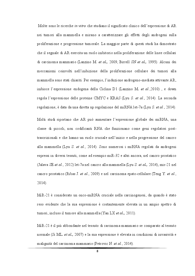 Anteprima della tesi: Ruolo protettivo degli Androgeni sulla crescita di cellule di carcinoma mammario indotta da miR-21, Pagina 4