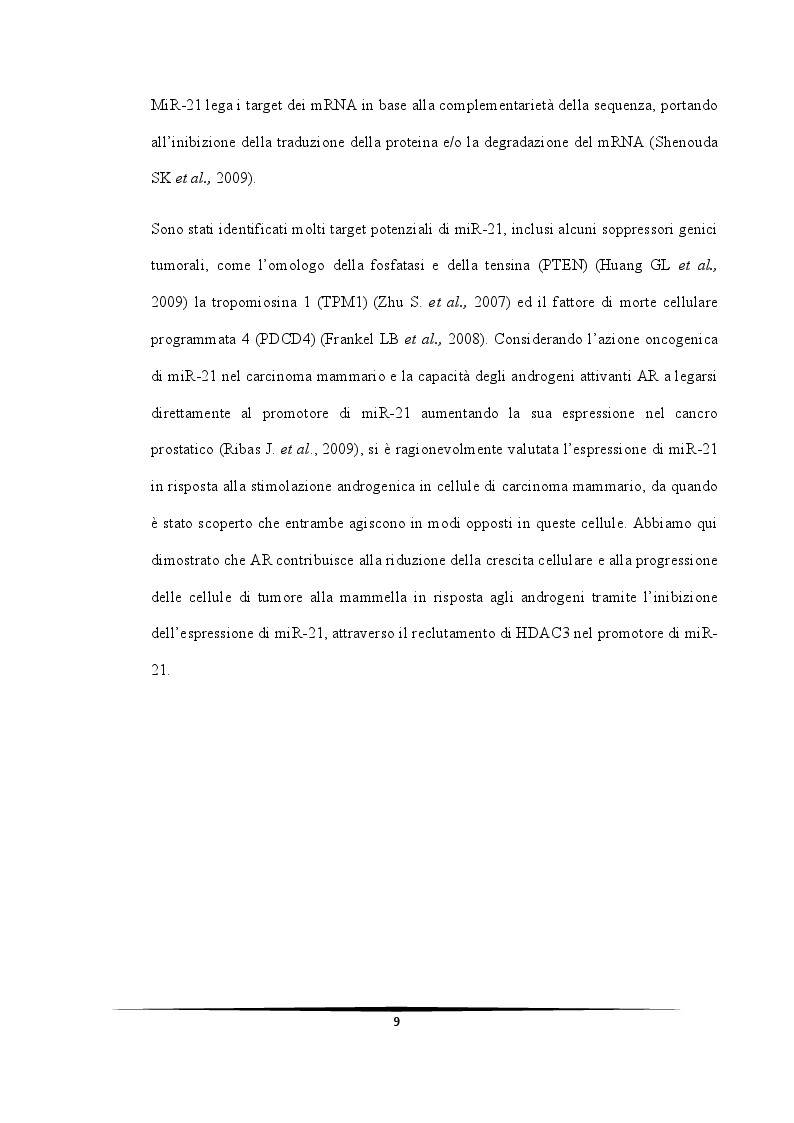 Anteprima della tesi: Ruolo protettivo degli Androgeni sulla crescita di cellule di carcinoma mammario indotta da miR-21, Pagina 5