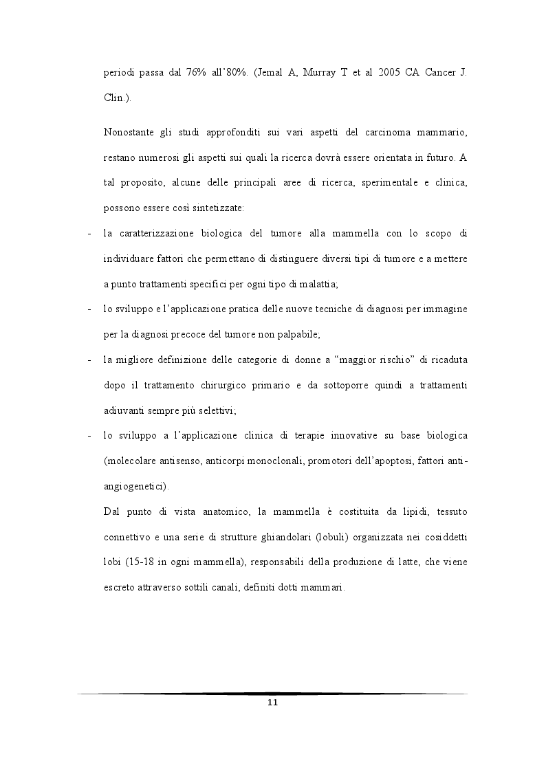 Anteprima della tesi: Ruolo protettivo degli Androgeni sulla crescita di cellule di carcinoma mammario indotta da miR-21, Pagina 7