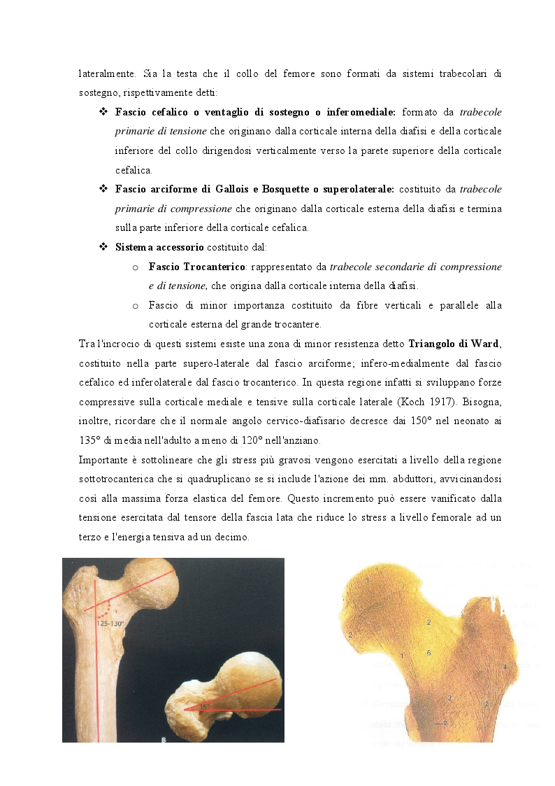 Anteprima della tesi: Strategie cliniche nelle fratture del collo femore dell'anziano: confronto tra due metodiche chirurgiche, Pagina 5