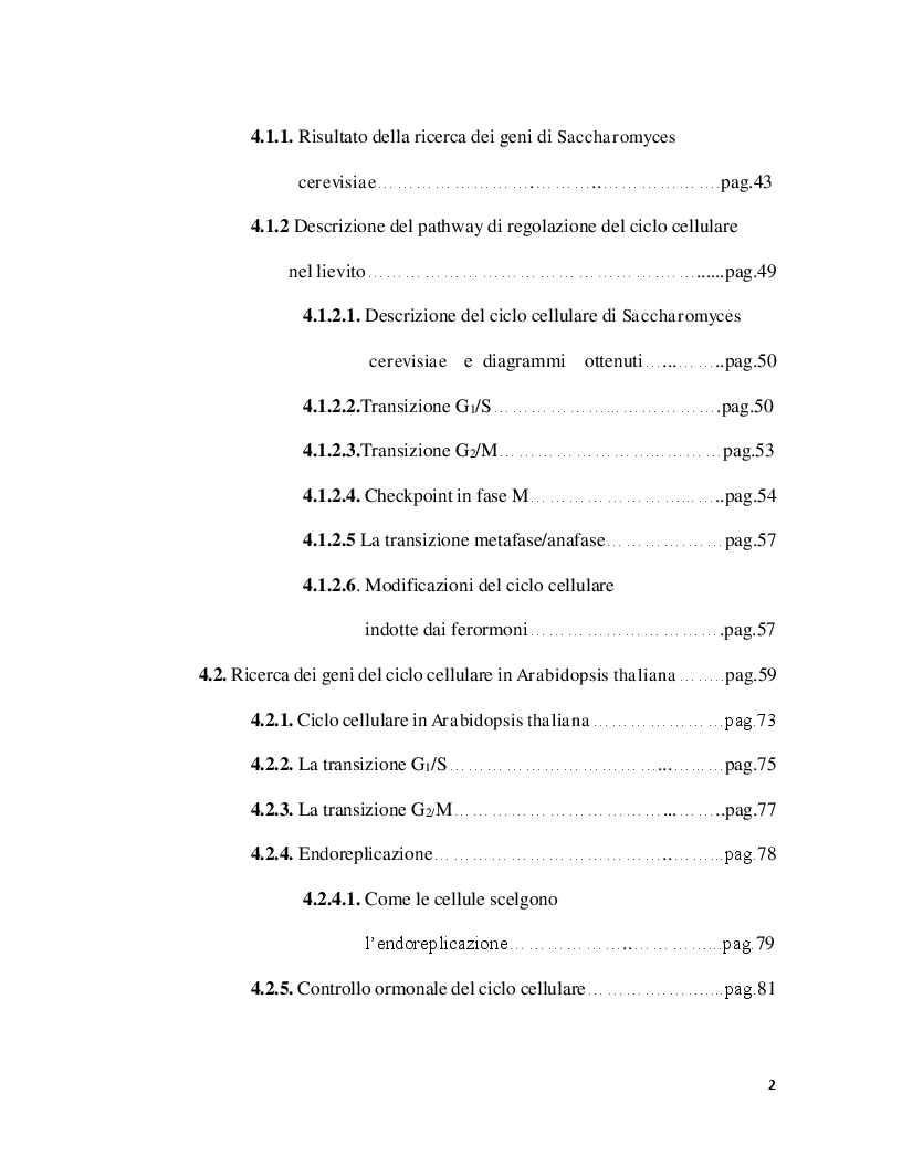 Indice della tesi: Analisi comparativa dei geni del ciclo cellulare in A. Thaliana e S. Cerevisiae, Pagina 2