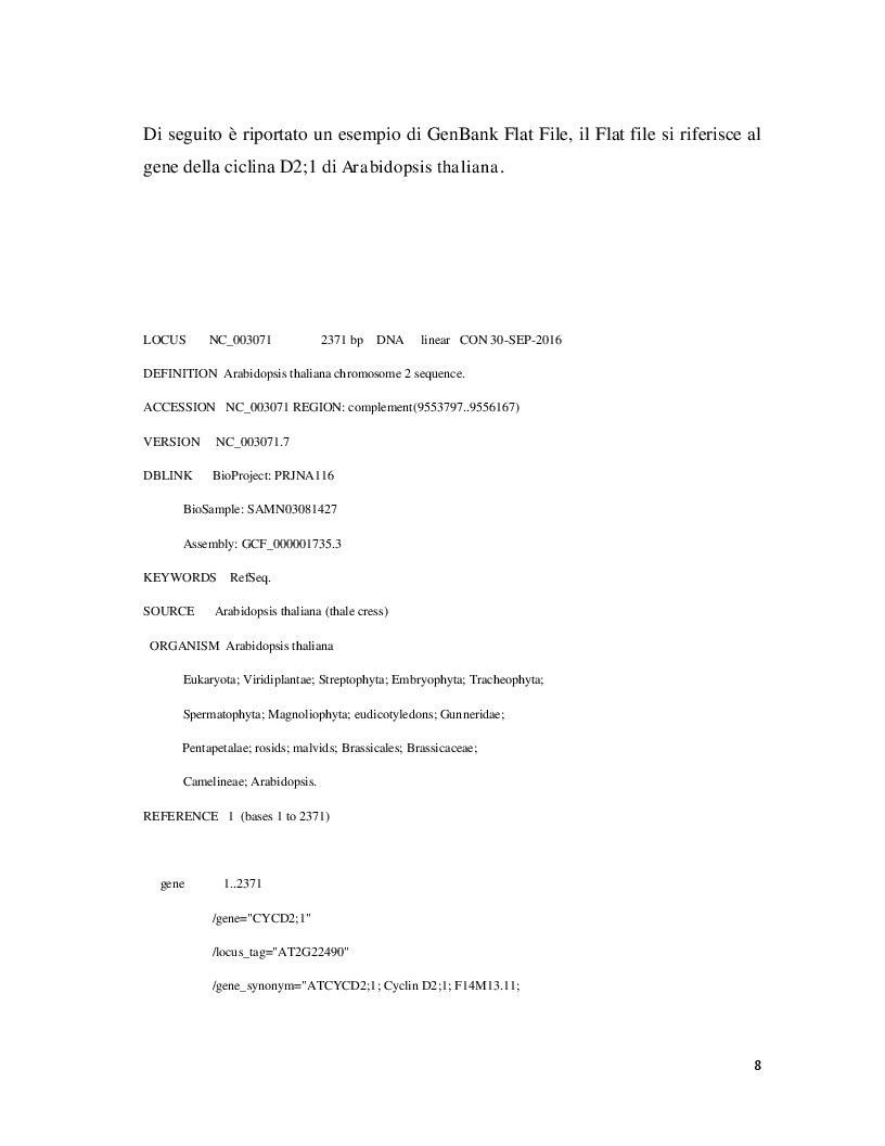 Anteprima della tesi: Analisi comparativa dei geni del ciclo cellulare in A. Thaliana e S. Cerevisiae, Pagina 6