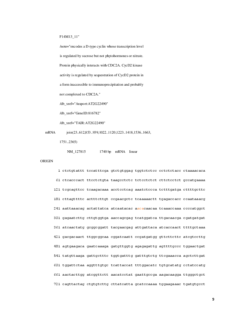 Anteprima della tesi: Analisi comparativa dei geni del ciclo cellulare in A. Thaliana e S. Cerevisiae, Pagina 7