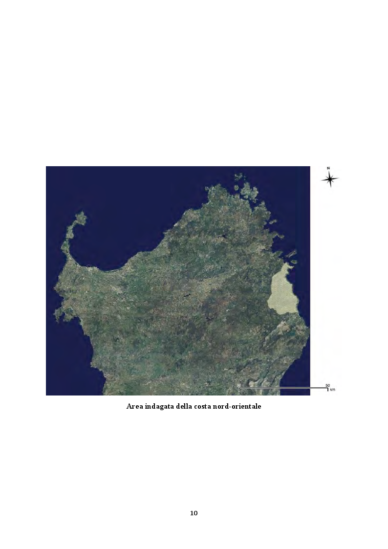Anteprima della tesi: Il territorio costiero della Sardegna nord-orientale nell'Età del Bronzo. I comuni di San Teodoro, Budoni, Posada e Torpè., Pagina 5