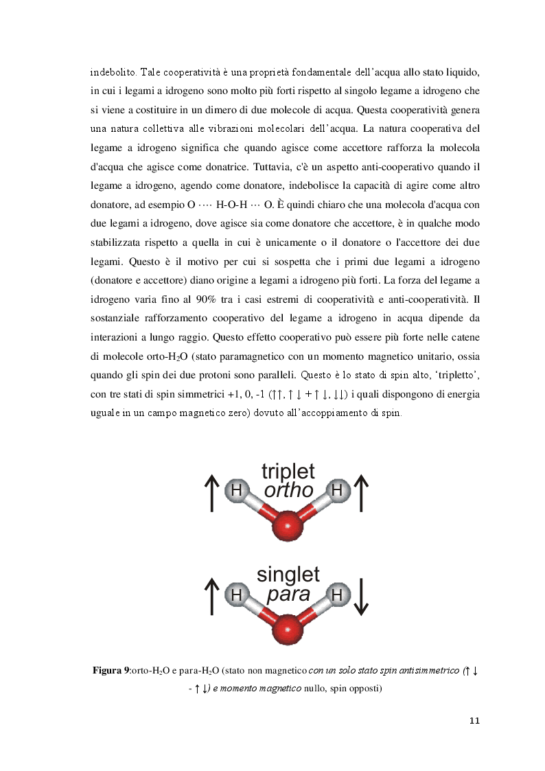 Anteprima della tesi: Effetto di radiazioni elettromagnetiche su alcune proprietà dell'acqua, Pagina 7