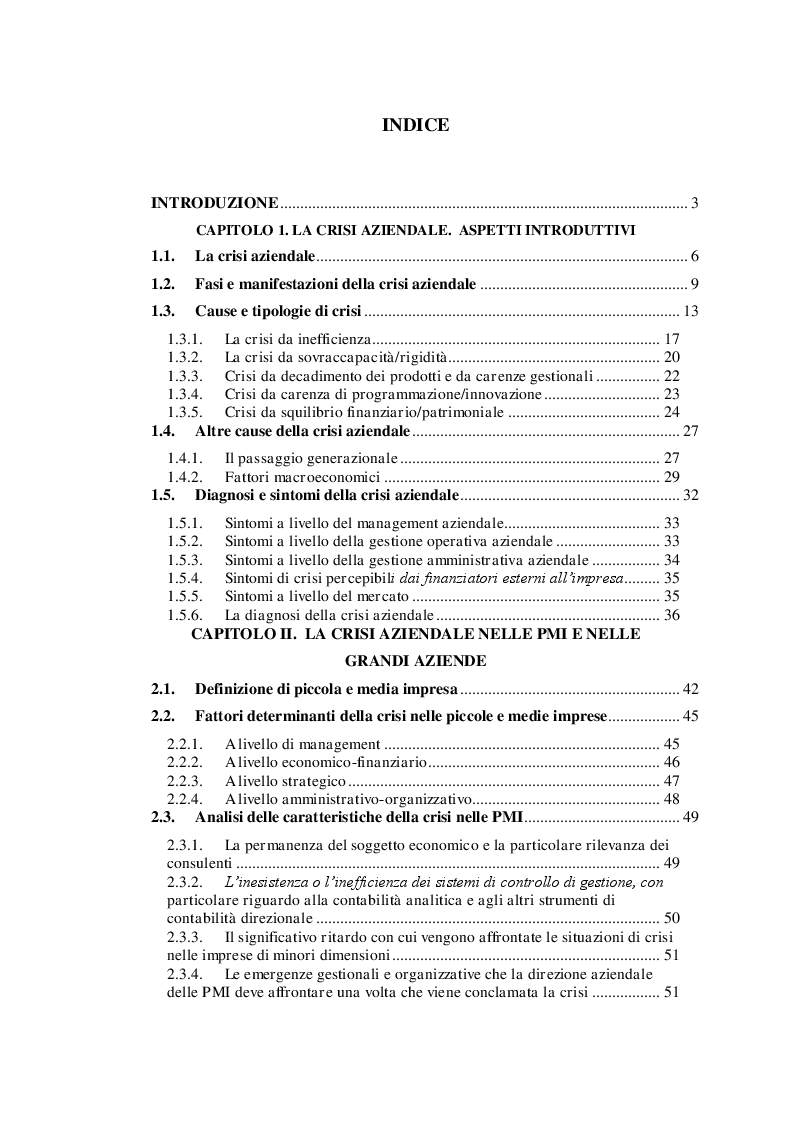 Indice della tesi: Lo Skandia Navigator per la previsione della crisi aziendale, Pagina 1