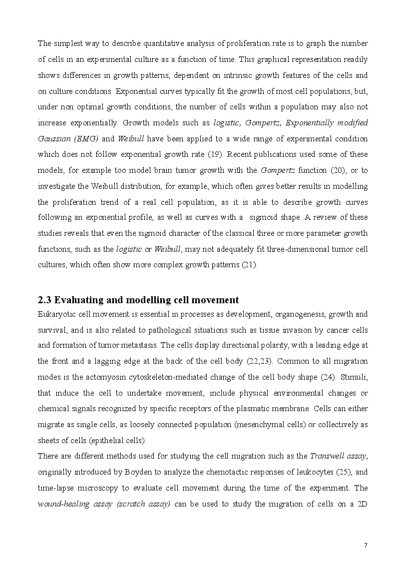 Estratto dalla tesi: In silico simulation of cell proliferation and movement